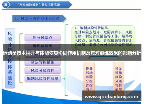 运动员技术提升与体能恢复协同作用机制及其对训练效果的影响分析