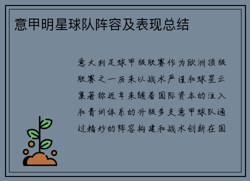意甲明星球队阵容及表现总结
