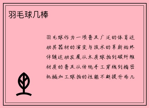 羽毛球几棒